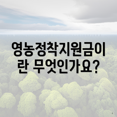 영농정착지원금이란 무엇인가요?
