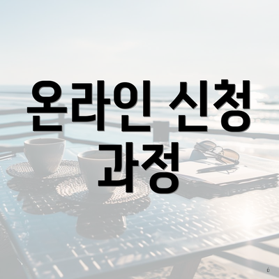 온라인 신청 과정