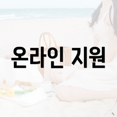 온라인 지원