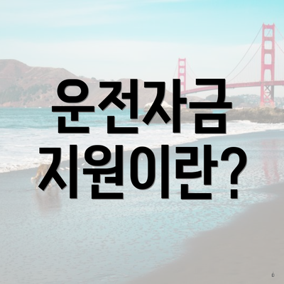운전자금 지원이란?