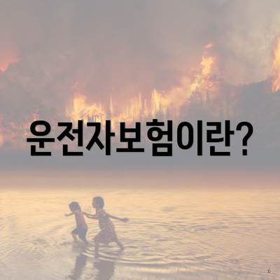 운전자보험이란?