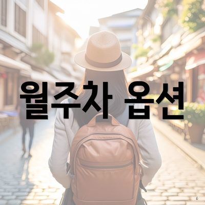 월주차 옵션