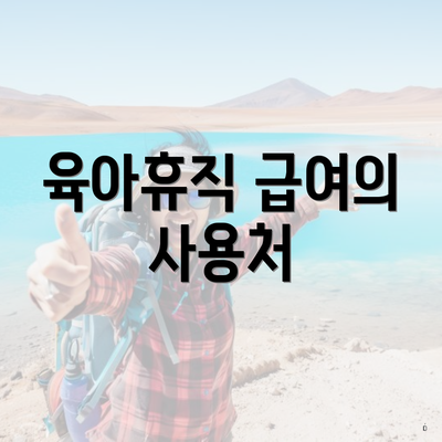 육아휴직 급여의 사용처