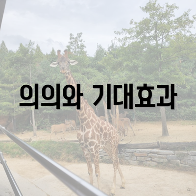의의와 기대효과