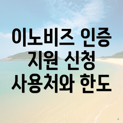이노비즈 인증 지원 신청 사용처와 한도