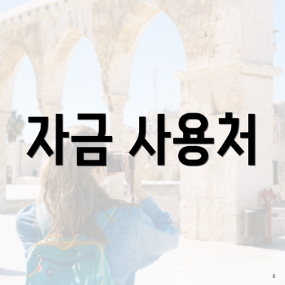 자금 사용처