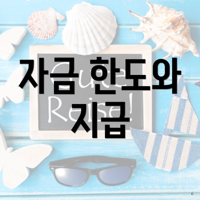 자금 한도와 지급