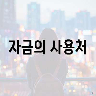 자금의 사용처