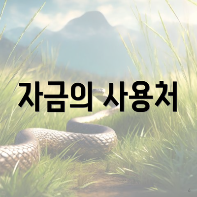 자금의 사용처