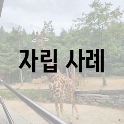 자립 사례