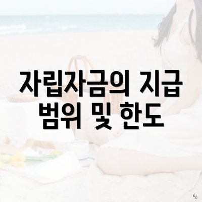 자립자금의 지급 범위 및 한도