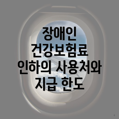 장애인 건강보험료 인하의 사용처와 지급 한도