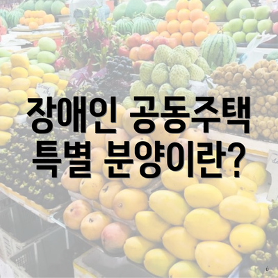 장애인 공동주택 특별 분양이란?