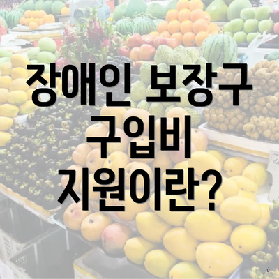 장애인 보장구 구입비 지원이란?