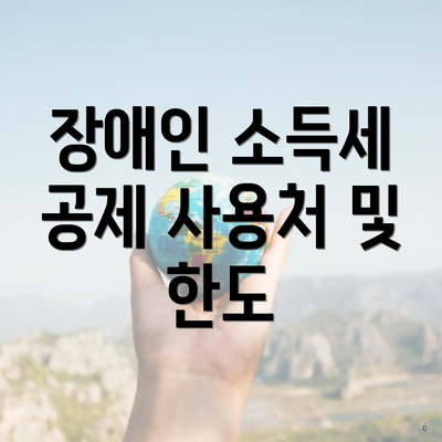 장애인 소득세 공제 사용처 및 한도