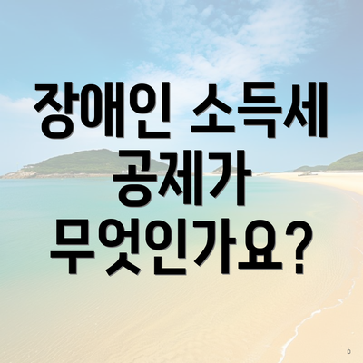 장애인 소득세 공제가 무엇인가요?