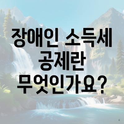 장애인 소득세 공제란 무엇인가요?