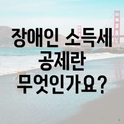 장애인 소득세 공제란 무엇인가요?