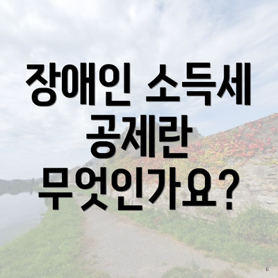 장애인 소득세 공제란 무엇인가요?