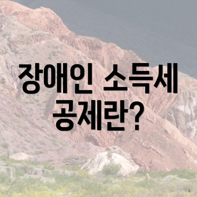 장애인 소득세 공제란?