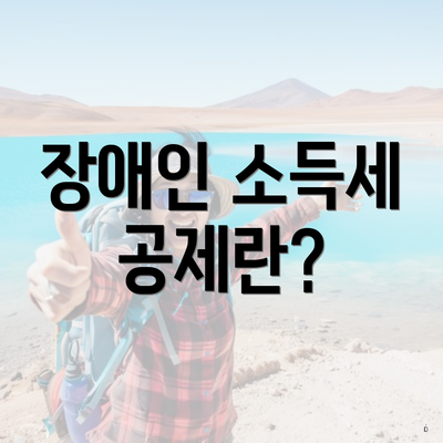 장애인 소득세 공제란?