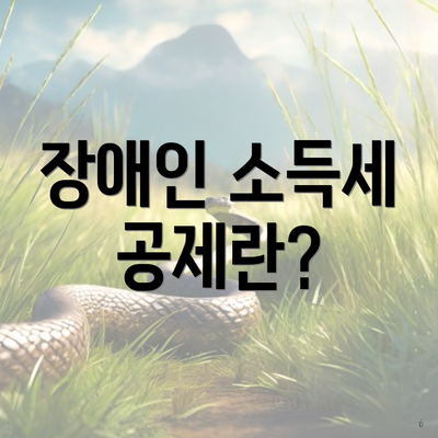 장애인 소득세 공제란?