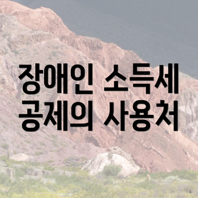 장애인 소득세 공제의 사용처