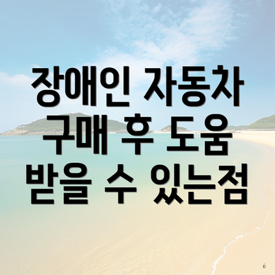 장애인 자동차 구매 후 도움 받을 수 있는점