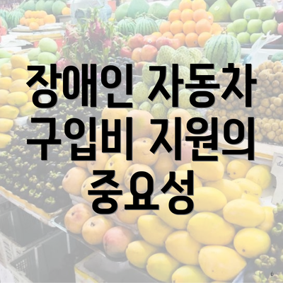 장애인 자동차 구입비 지원의 중요성