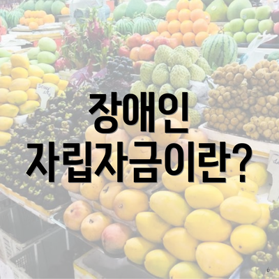 장애인 자립자금이란?