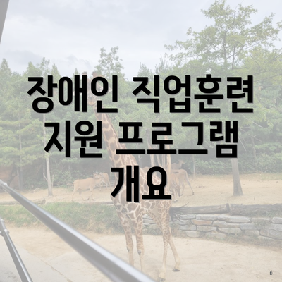 장애인 직업훈련 지원 프로그램 개요