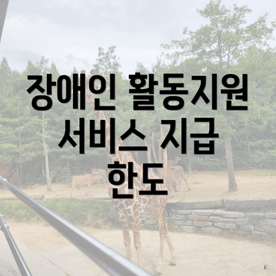 장애인 활동지원 서비스 지급 한도