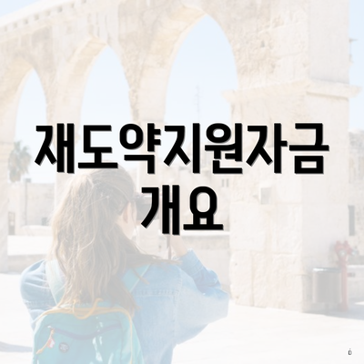재도약지원자금 개요