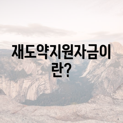 재도약지원자금이란?