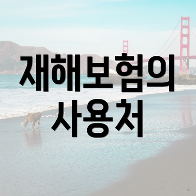 재해보험의 사용처