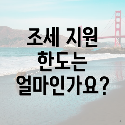 조세 지원 한도는 얼마인가요?