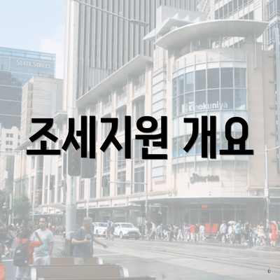 조세지원 개요