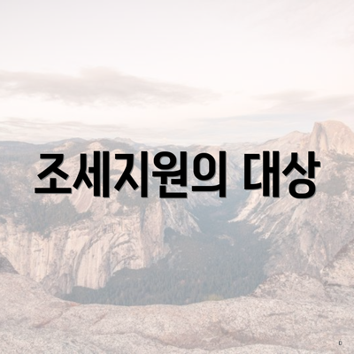 조세지원의 대상
