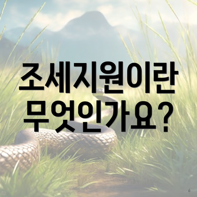 조세지원이란 무엇인가요?