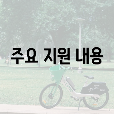 주요 지원 내용