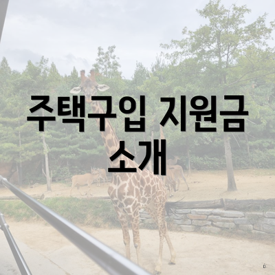 주택구입 지원금 소개