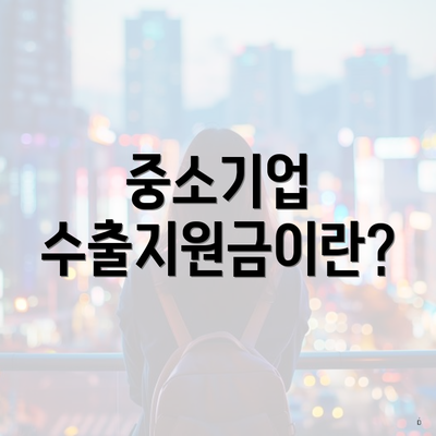 중소기업 수출지원금이란?