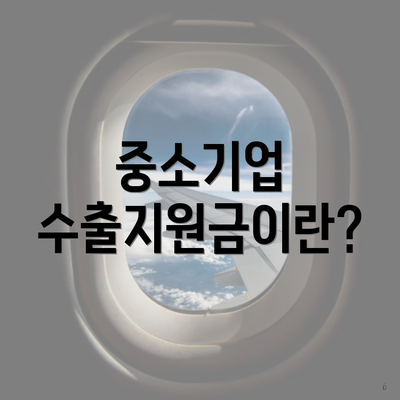 중소기업 수출지원금이란?
