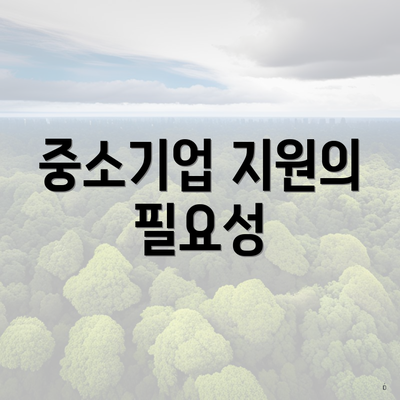 중소기업 지원의 필요성