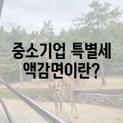 중소기업 특별세액감면이란?