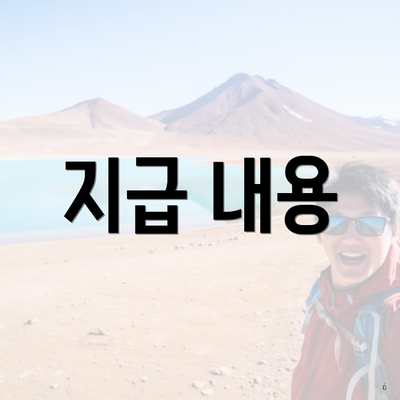 지급 내용