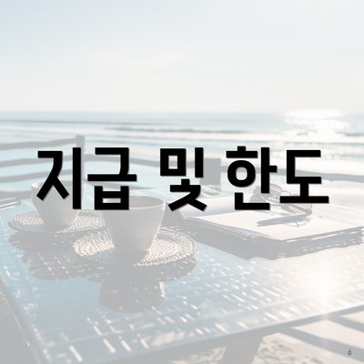 지급 및 한도