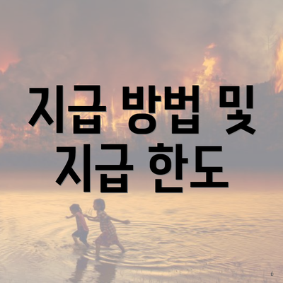 지급 방법 및 지급 한도