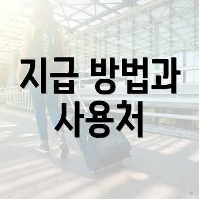 지급 방법과 사용처