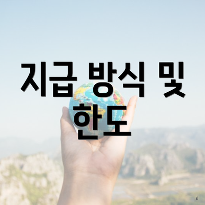 지급 방식 및 한도